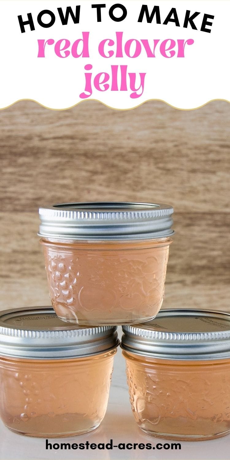 Three jars of red clover jelly with one jar stacked on top of the other two. The text overlay says How To Make Red Clover Jelly.