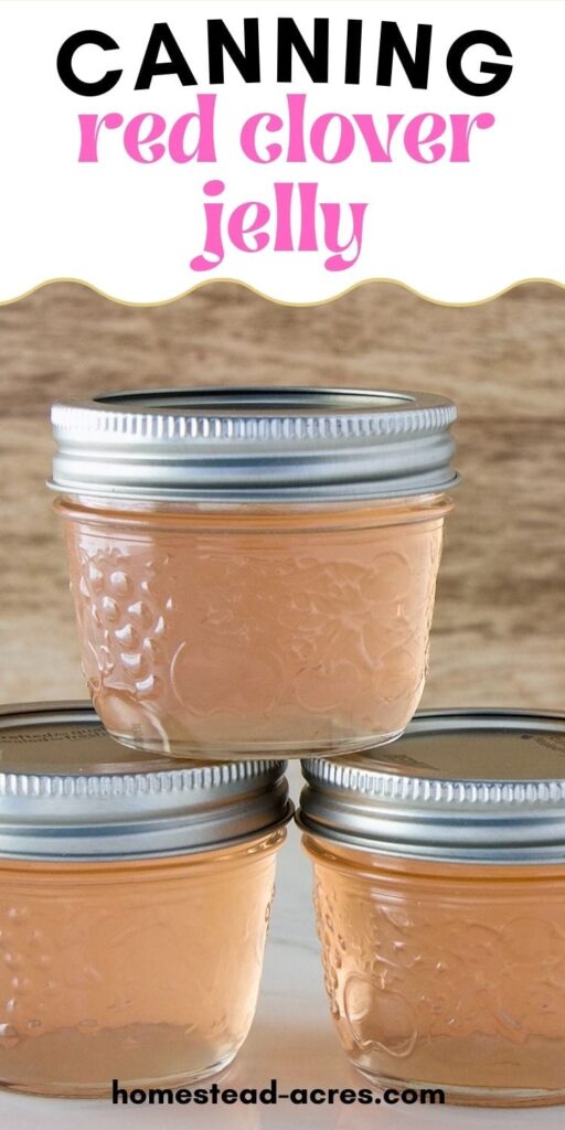 Three jars of clover jelly are stacked on top of each other. The text overlay says Canning Red Clover Jelly.