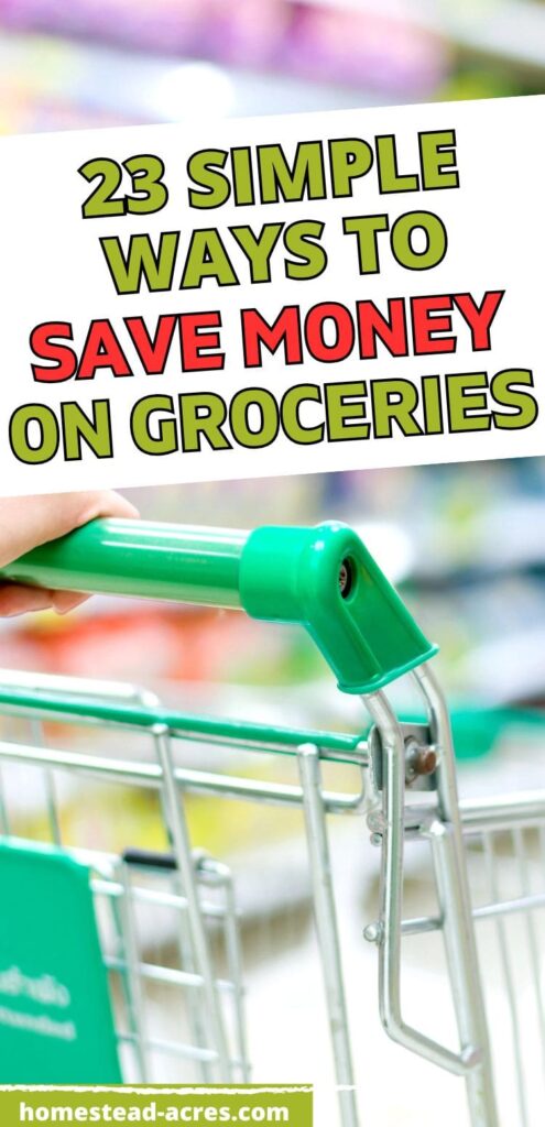 A person pushes a grocery cart, ready to save money on food. The text overlay says 23 Simple Ways To Save Money On Groceries.