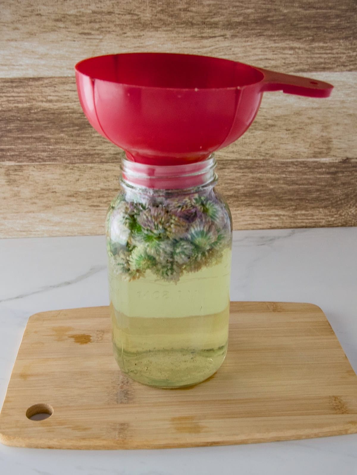 A mason jar with red clover flowers and hot water poured over top to make red clover tea. A red canning funnel is on top of the jar.