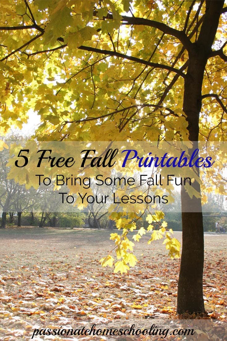 Maple tree with yellow leaves in the fall. Text overlay says 5 Free Fall Printables To Bring Some Fall Fun To Your Lessons.