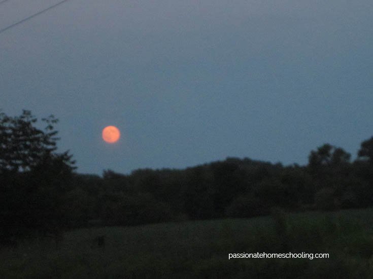 Full red colored blood moon.