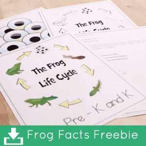 Frog life cyle printables.