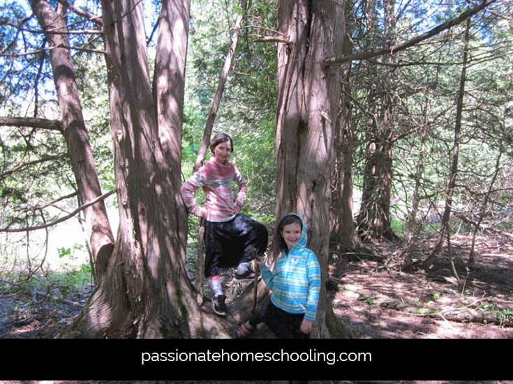 Kids having fun on a nature walk.