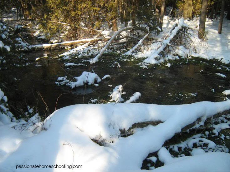 Snow covering part of a river.