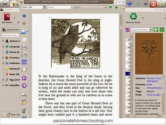 Reading an ebook on the computer.
