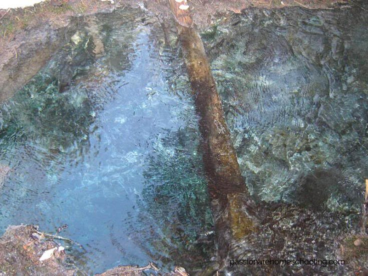 Open water spring.