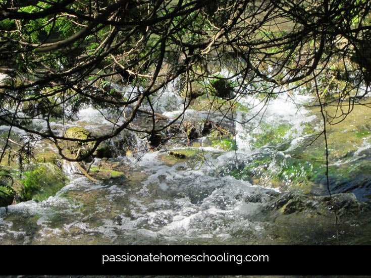 Water rushing over rocks.
