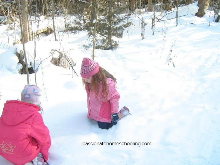 Kids looking at animal tracks in the snow.