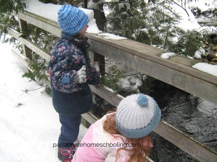 Kids looking over a bridge at the river in the winter.