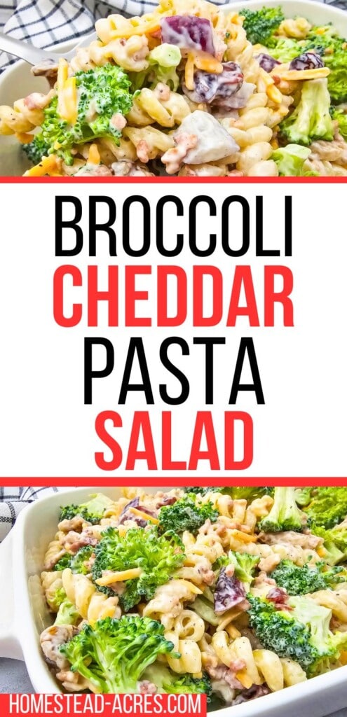 A collage of fresh broccoli pasta salad being served. The text overlay says Broccoli Cheddar Pasta Salad.