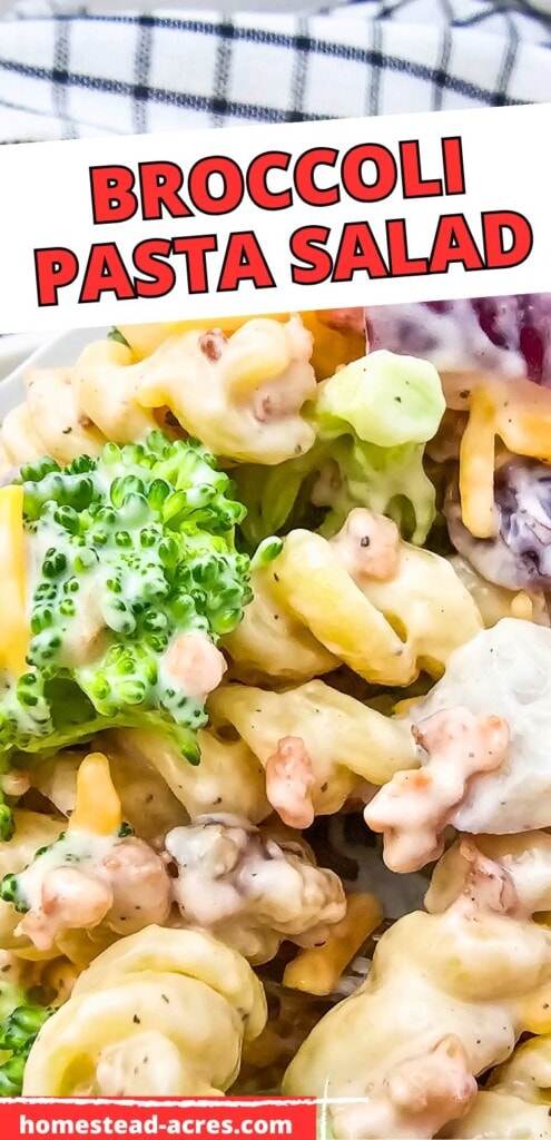 Pasta salad with broccoli florets, bacon, cheese, and dried cranberries in a white serving dish. The text overlay says Broccoli Pasta Salad.
