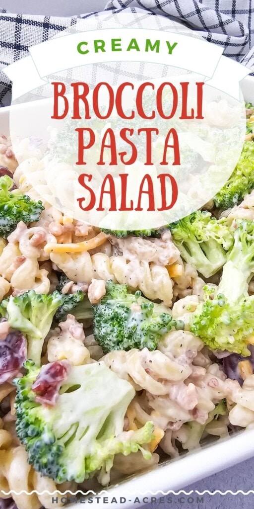 Pasta salad with broccoli, red onion, and cheese in a white serving dish. The text overlay says Creamy Broccoli Pasta Salad.