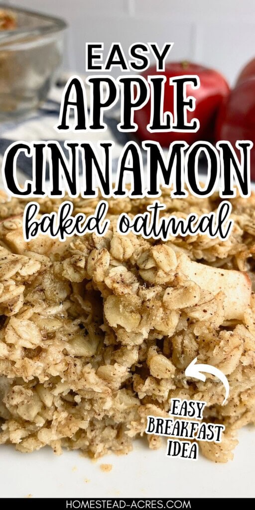 A slice of baked oatmeal on a plate. The text overlays says Easy Apple Cinnamon Baked Oatmeal Easy Breakfast Idea.