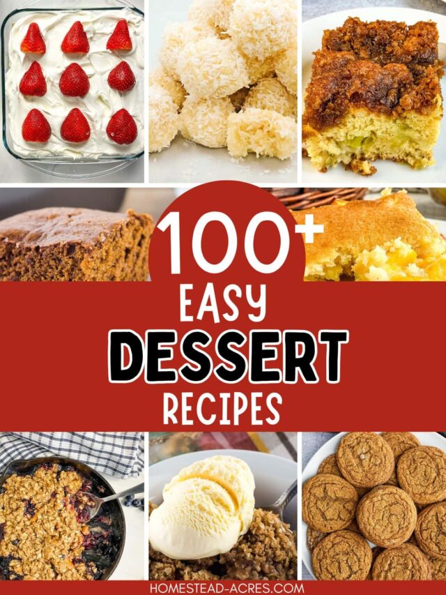 Easy Dessert Recipes
