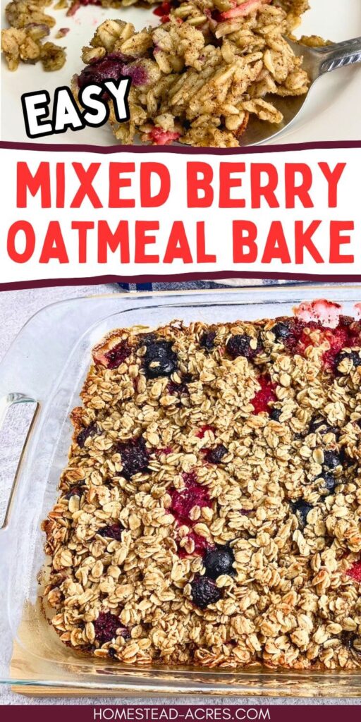 A collage of a glass baking dish and a plate with a slice of baked oatmeal with berries. The text overlay says Easy Mixed Berry Oatmeal Bake.