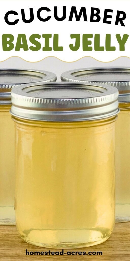 Three jars of jelly on a table. The text overlay says Cucumber Basil Jelly.
