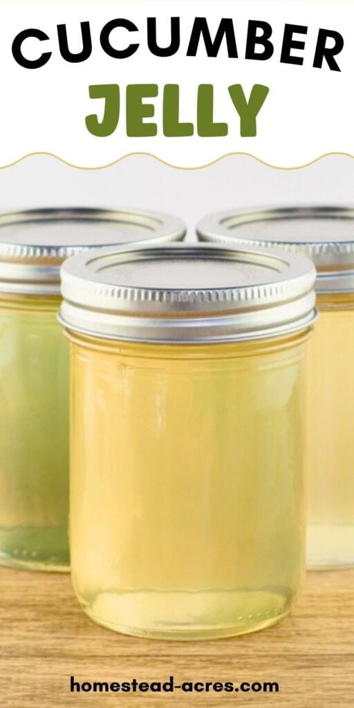 Three jars of jelly on a wooden table. The text overlay says Cucumber Jelly.