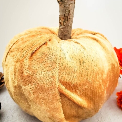 A no sew velvet pumpkin with a stick stem sitting on the counter next to orange flowers and pinecones.