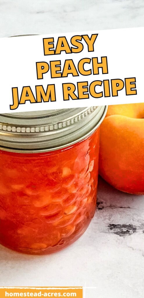 A jar of homemade jam and fresh peaches on the counter. The text overlay says Easy Peach Jam Recipe.