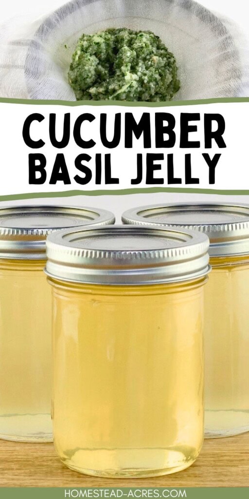 A collage of cucumber pulp in a strainer and jars of jelly on a table. The text overlay says Cucumber Basil Jelly.