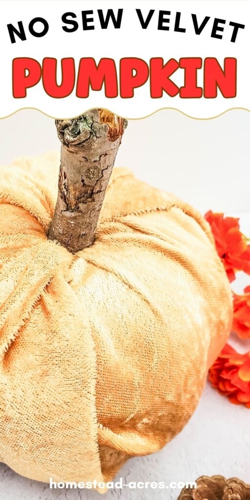 A homemade fabric pumpkin on a counter next to pinecones and orange flowers. The text overlay says No Sew Velvet Pumpkin.