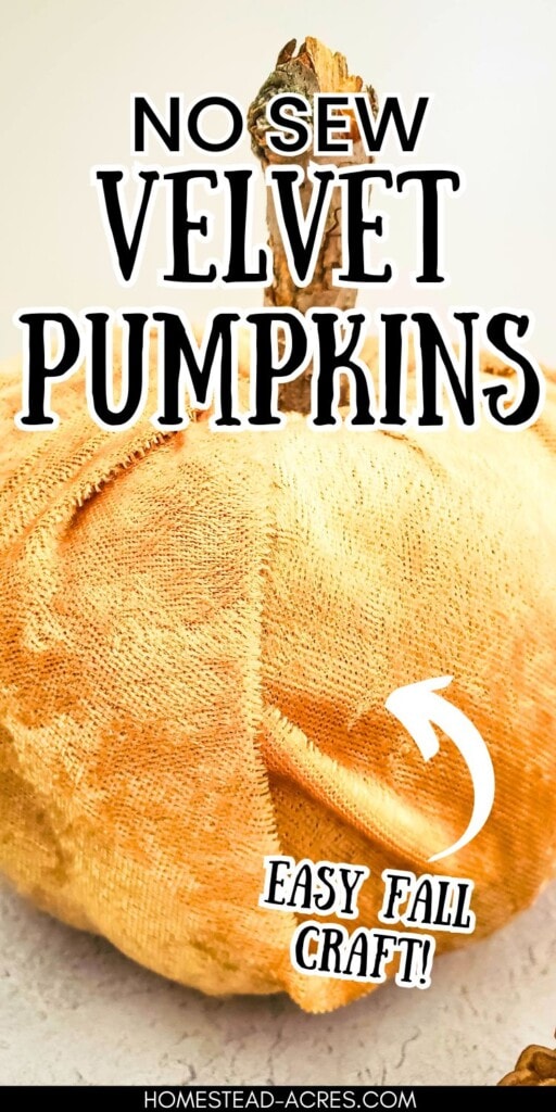 Homemade fabric pumpkin on a counter. The text overlay says No Sew Velvet Pumpkins Easy Fall Craft!