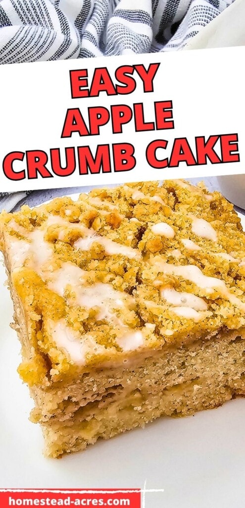 A slice of apple cake with a crumble topping and glaze on a white plate. The text overlay says Easy Apple Crumb Cake.