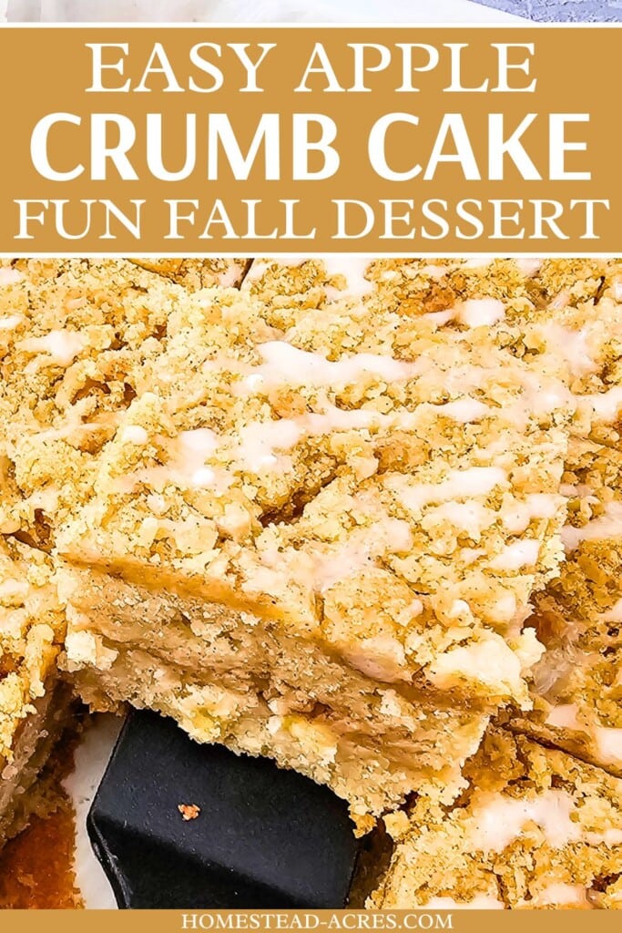 Lifting a slice of apple cake out of a baking dish. The text overlay says Easy Apple Crumb Cake Fun Fall Dessert.