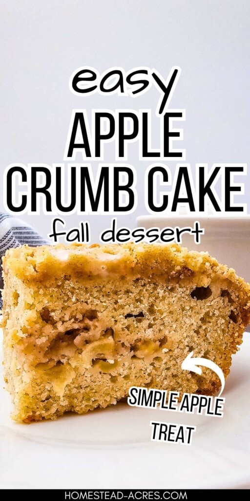 A slice of apple cake on a white plate. The text overlay says Easy Apple Crumb Cake Fall Dessert. Simple Apple Treat.