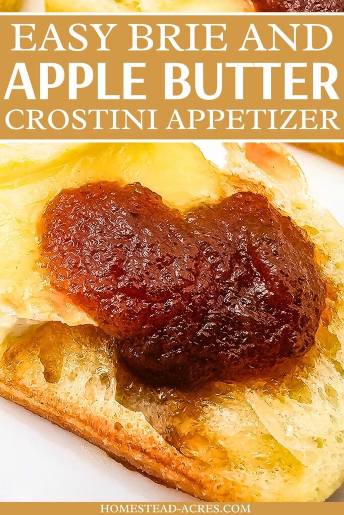 Toasted crostini with apple butter and brie cheese. The text overlay says Easy Brie And Apple Butter Crostini Appetizer.