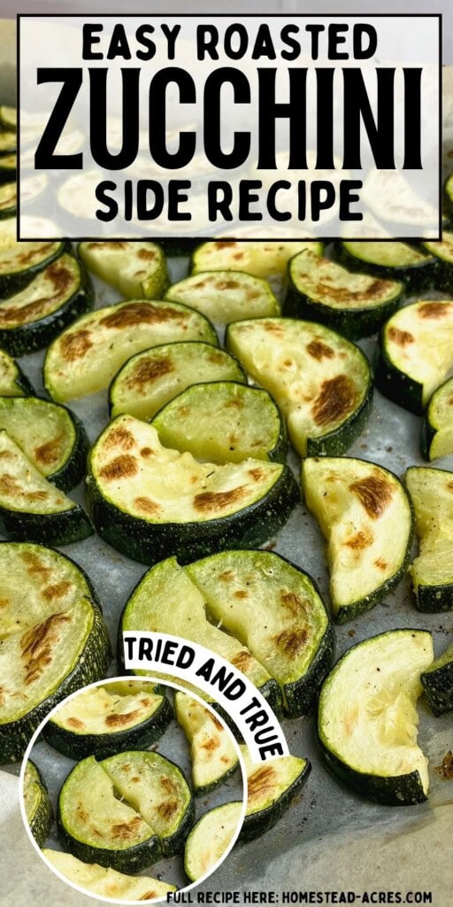 A sheet pan of baked zucchini slices. The text overlay says Easy Roasted Zucchini Side Recipe, Tried and True.