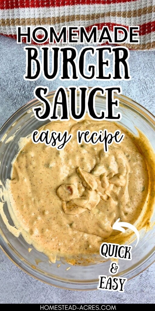 A glass bowl filled with burger sauce sitting on the counter. The text overlay says Homemade Burger Sauce Easy Recipe.