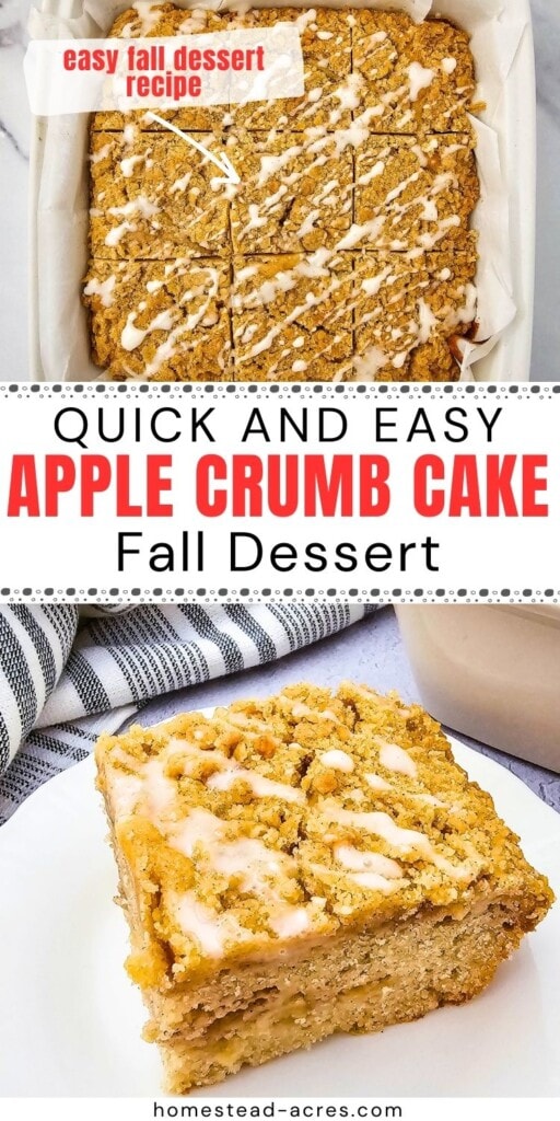 Collage image of apple cake in the baking pan and a slice on a plate. The text overlay says Quick And Easy Apple Crumb Cake Fall Dessert.