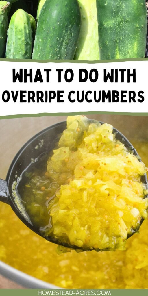 A collage of overripe cucumbers and a ladle of homemade relish. The text overlay says What To Do With Overripe Cucumbers.