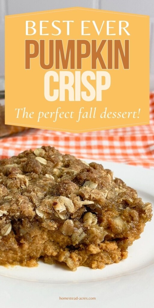 Homemade pumpkin crumble on a white plate. The text overlay says Best Ever Pumpkin Crisp. The Perfect Fall Dessert.