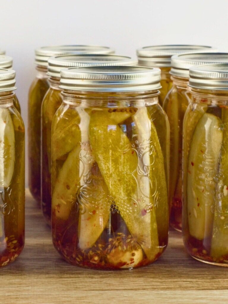 Canning jars of homemade spicy dill pickles.