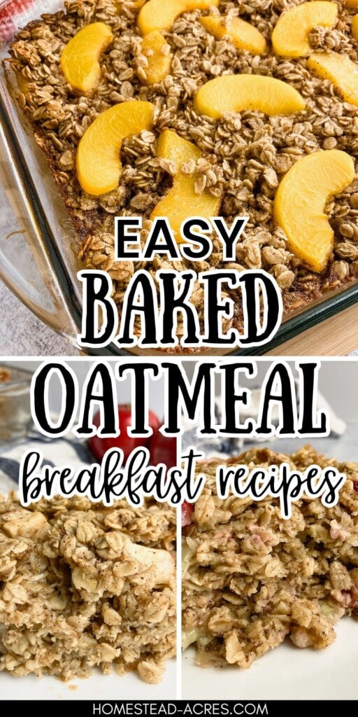 A collage of peach baked oatmeal, apple cinnamon baked oatmeal, and berry oatmeal. The text overlay says Easy Baked Oatmeal Breakfast Recipes.