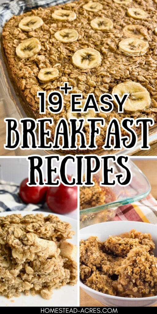 A collage of baked oatmeal and apple crisp. The text overlay says 19 + Easy Breakfast Recipes.