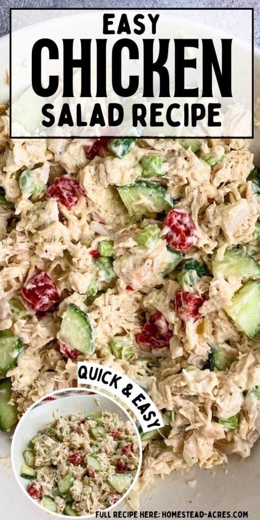 Homemade chicken salad in a white bowl with cucumbers and tomatoes. The text overlay says Easy Chicken Salad Recipe Quick And Easy.