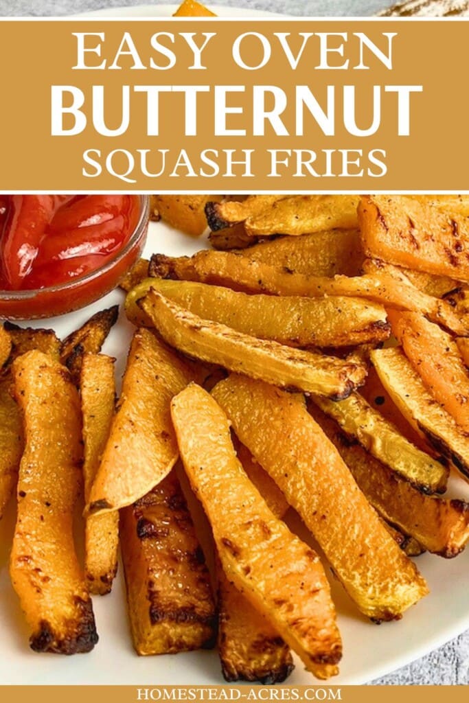 Homemade butternut squash fries on a plate with ketchup. The text overlay says Easy Oven Butternut Squash Fries.