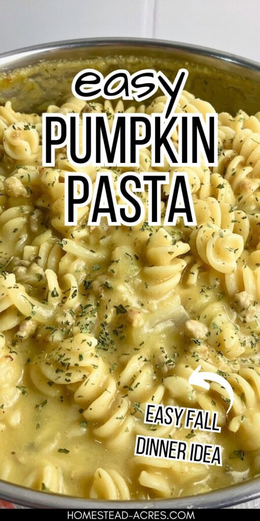 A large pot of homemade pumpkin pasta. The text overlay says Easy Pumpkin Pasta Easy Fall Dinner idea.
