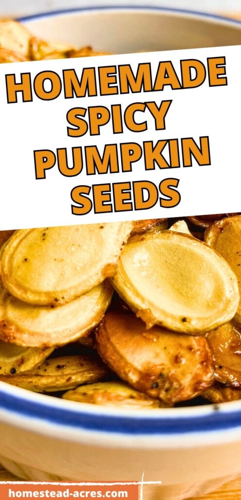 Roasted homemade pumpkin seeds. The text overlay says Homemade Spicy Pumpkin Seeds.