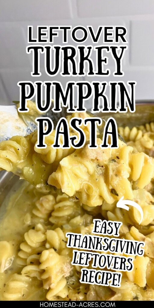 Lifting a spoonful of pasta out of the pot. The text overlay says Leftover Turkey Pumpkin Pasta. Easy Thanksgiving Leftovers Recipe.