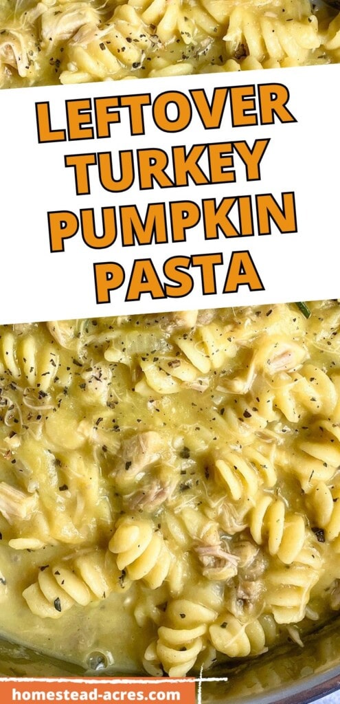 A pot of homemade turkey pasta in a creamy pumpkin sauce. The text overlay says Leftover Turkey Pumpkin Pasta.