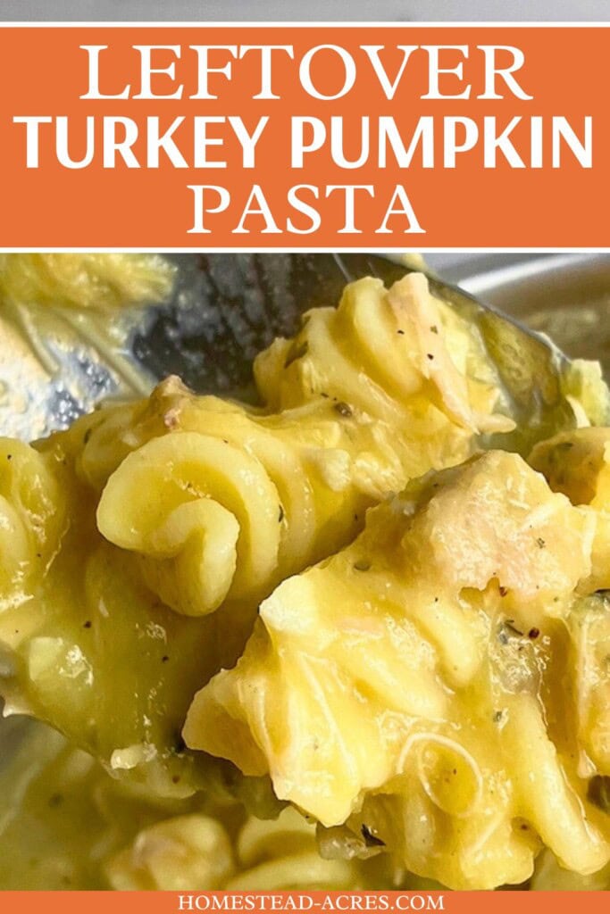 A spoonful of turkey pasta. The text overlay says Leftover Turkey Pumpkin Pasta.