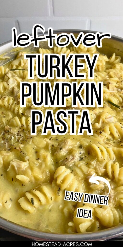 A large pot of turkey pumpkin pasta. The text overlay says Leftover Turkey Pumpkin Pasta Easy Dinner Idea.