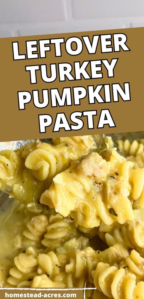 A spoonful of turkey pumpkin pasta held over a pot. The text overlay says Leftover Turkey Pumpkin Pasta.