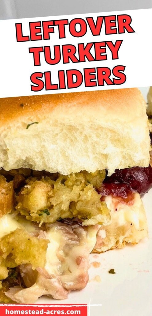 A turkey and cranberry sauce slider on a plate. The text overlay says Leftover Turkey Sliders.