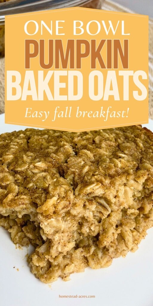 A slice of pumpkin baked oatmeal on a white plate. The text overlay says One Bowl Pumpkin Baked Oats. Easy Fall Breakfast!